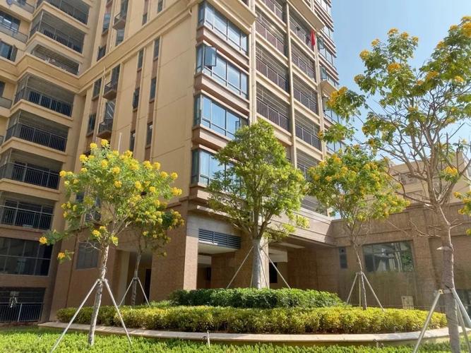 海丰房价最新楼盘