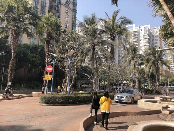 石竹新花园房价