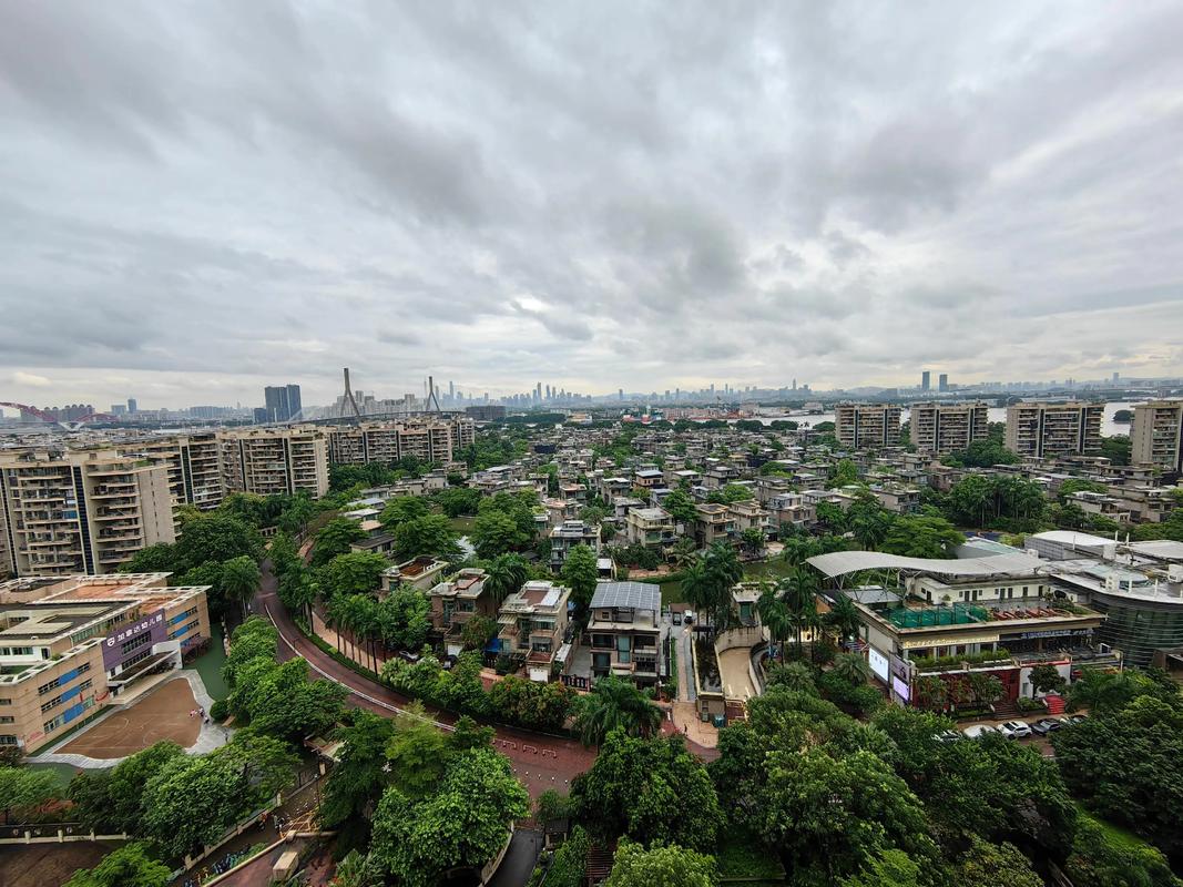 广州珊瑚湾畔房价