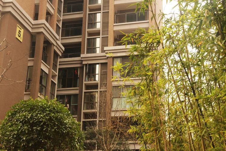 常德沅水右岸楼盘