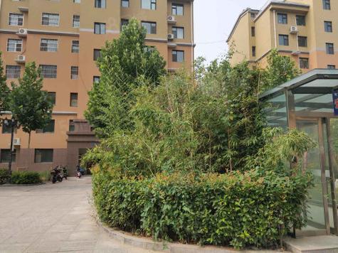 河北邯郸邱县房价