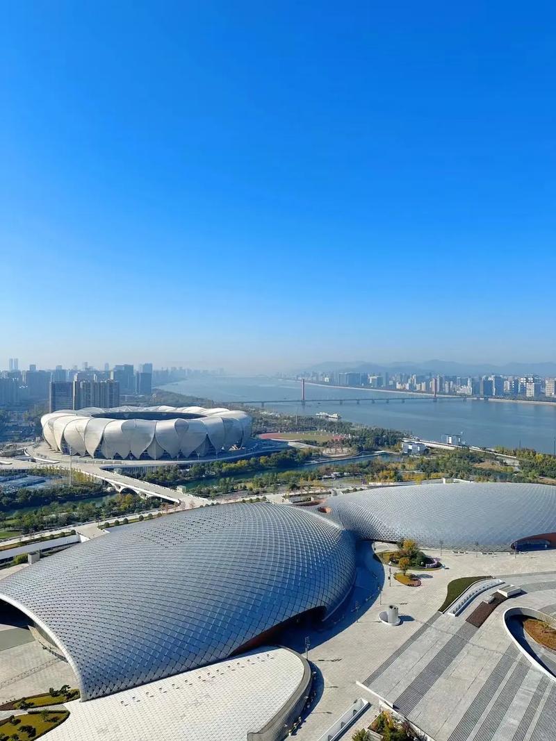 杭州奥体板块新楼盘