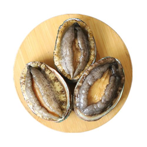 大连小平岛楼盘评论