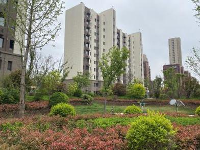 安丘楼盘排名榜