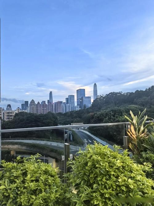 深圳海岸明珠花园