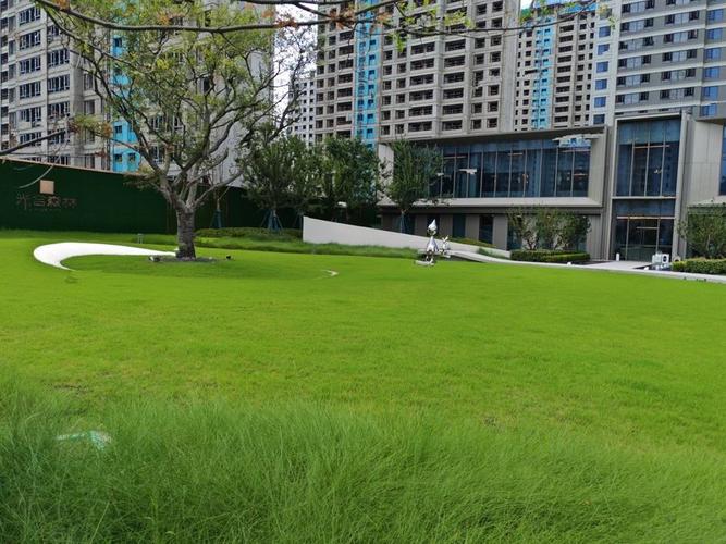 少荃湖附近楼盘