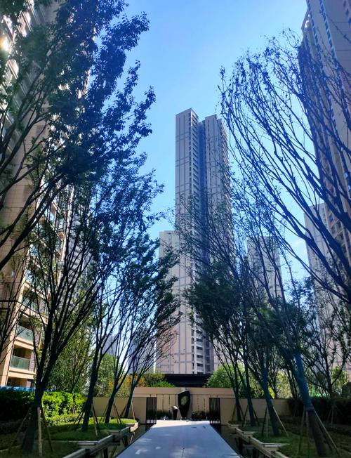 长沙岳麓区哪个楼盘好