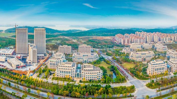 武汉软件新城附近楼盘