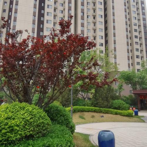 汾阳现在热卖的楼盘