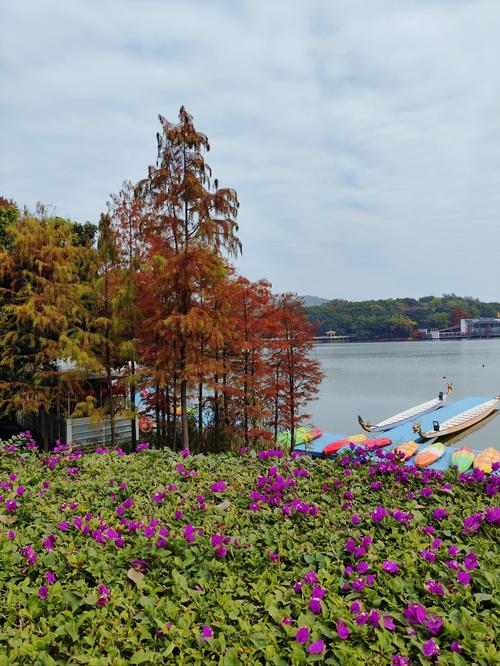 广州湖山花园