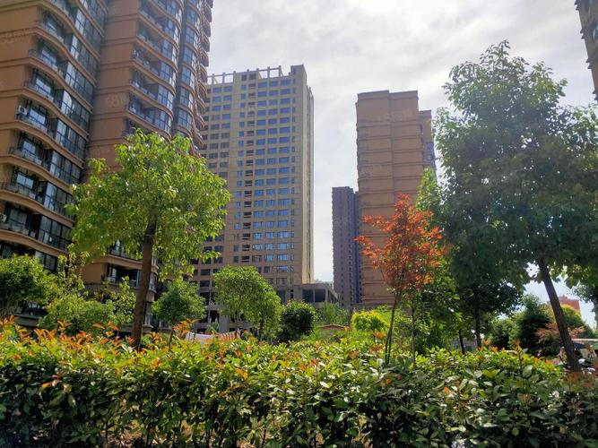 驻马店那个楼盘好