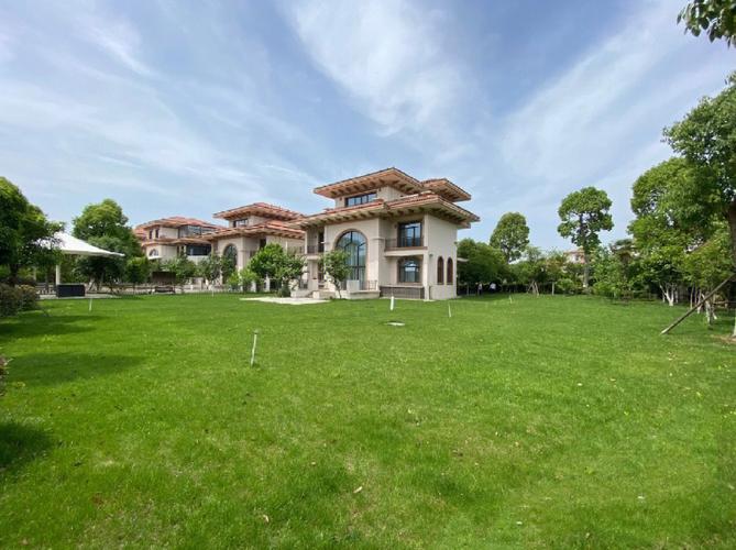 汾湖哪个楼盘好