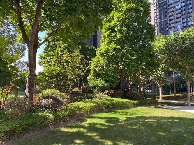 茶山时代水岸花园