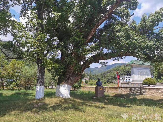 茶陵湘赣中央花园