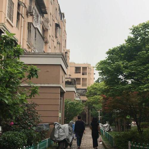 上海三林新楼盘