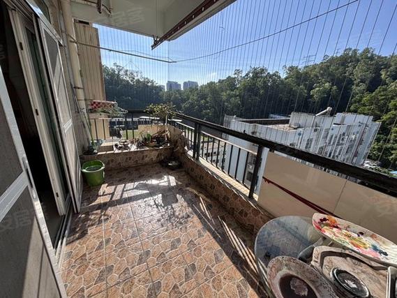 深圳银湖三九花园