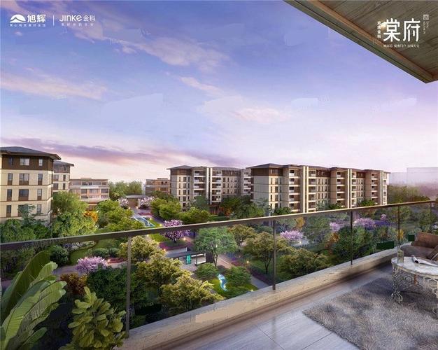 大邑那个楼盘卖得好