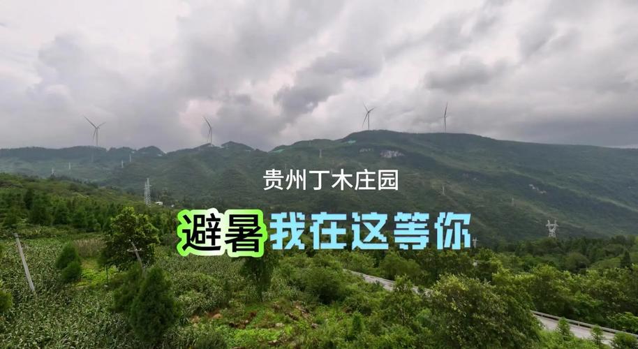 桐梓丁木庄园楼盘