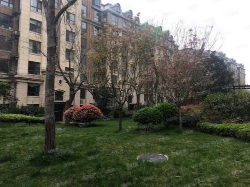 郑州银河丹堤房价