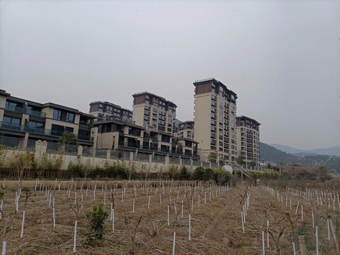 北仑梅山新楼盘