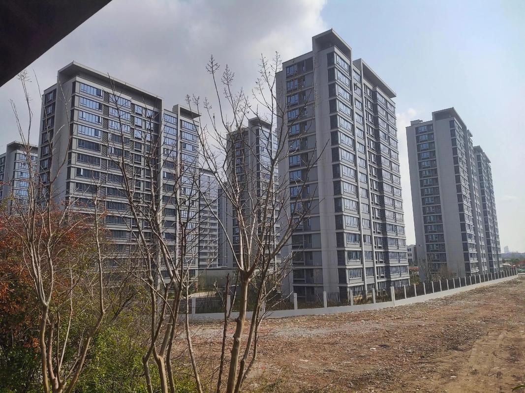 北仑梅山新楼盘