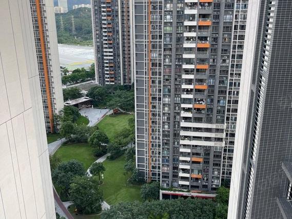 南沙金洲新楼盘