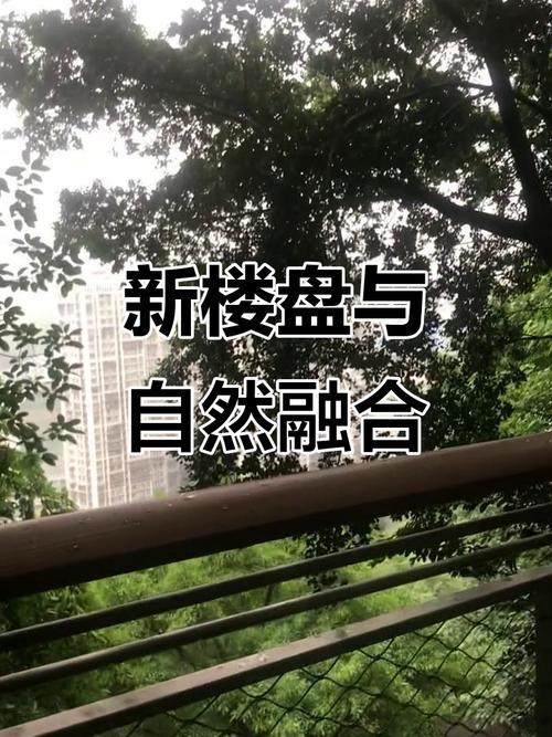 清新楼盘最新动态