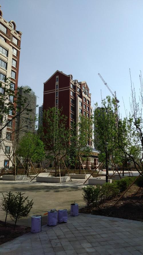 哈尔滨双城区新建楼盘