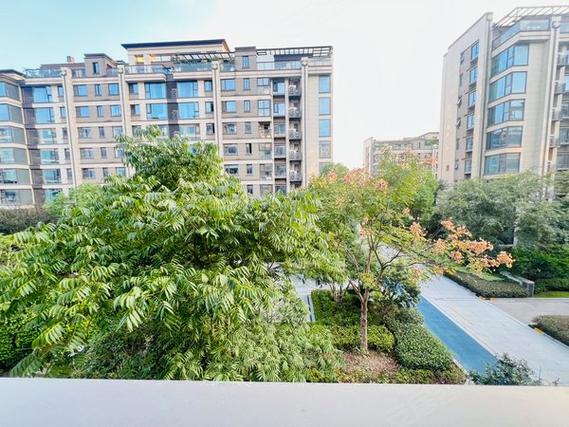 余杭璞丽东方楼盘