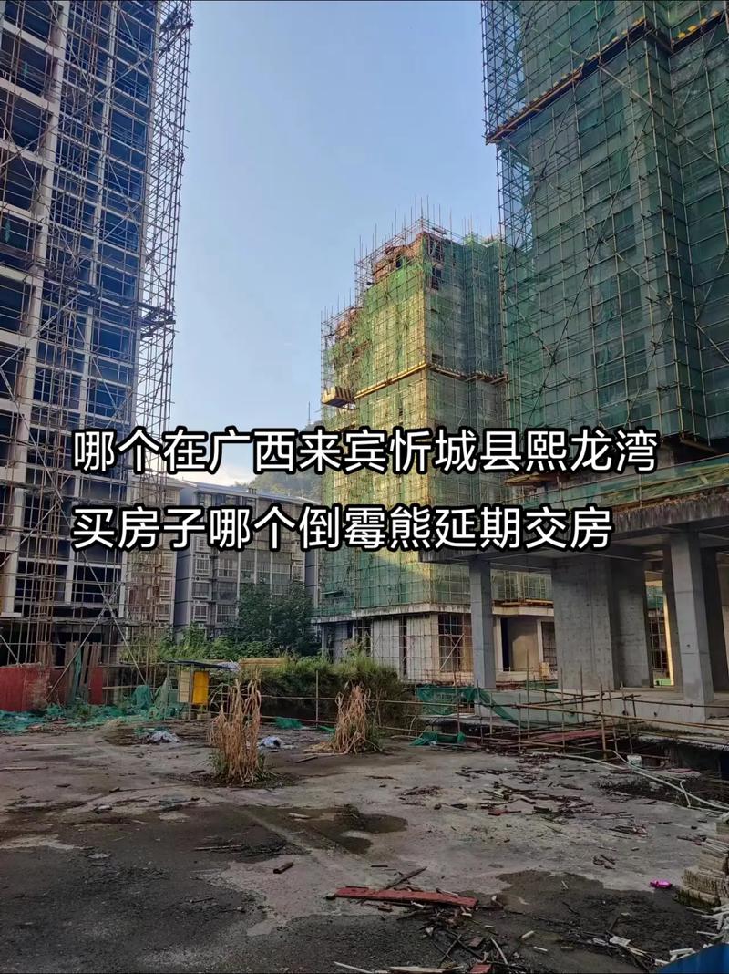 来宾哪个楼盘卖得最好