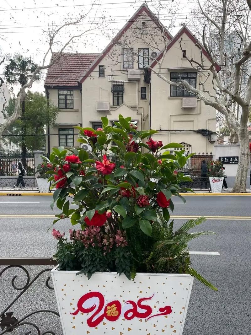 上海滩花园洋房房价