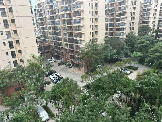 三亚南山花园最新消息