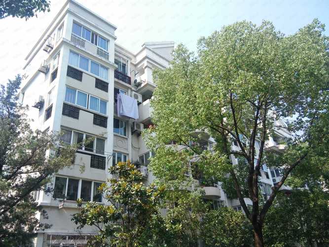 大上海国际花园二手房