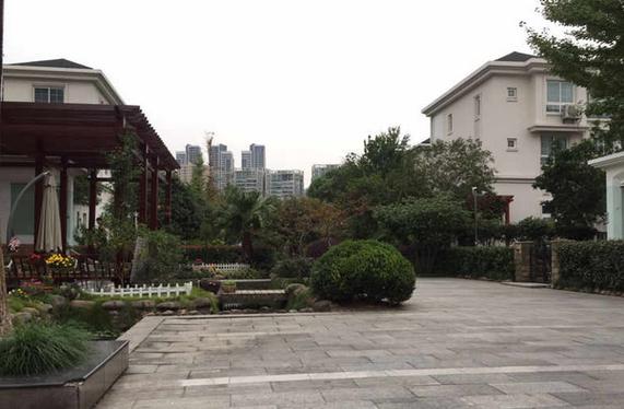 杭州碧水豪园房价