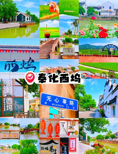 奉化西坞新楼盘