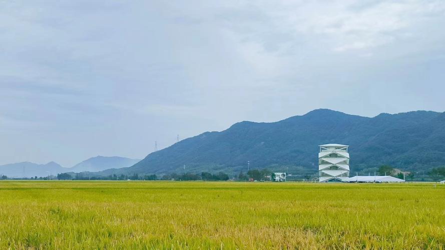 奉化西坞新楼盘