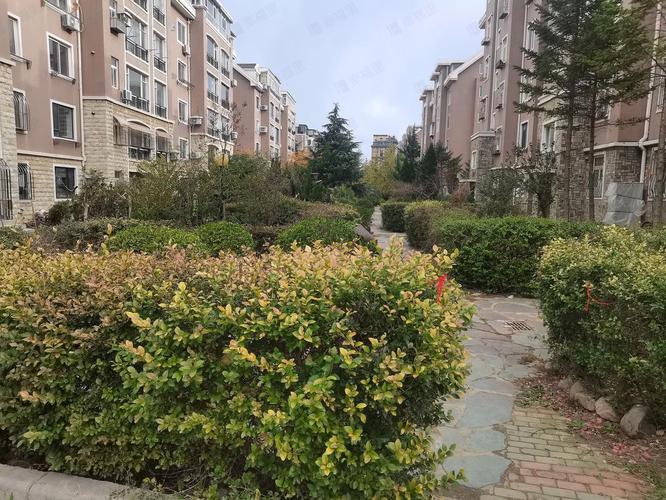 大连营城子房价