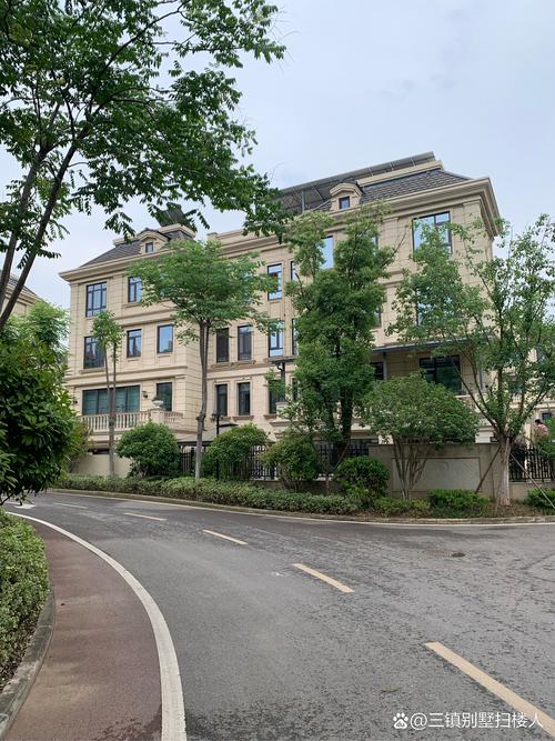 汤逊湖附近楼盘