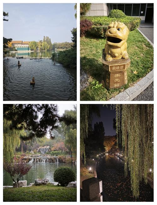 北京奥林匹克花园业主论坛