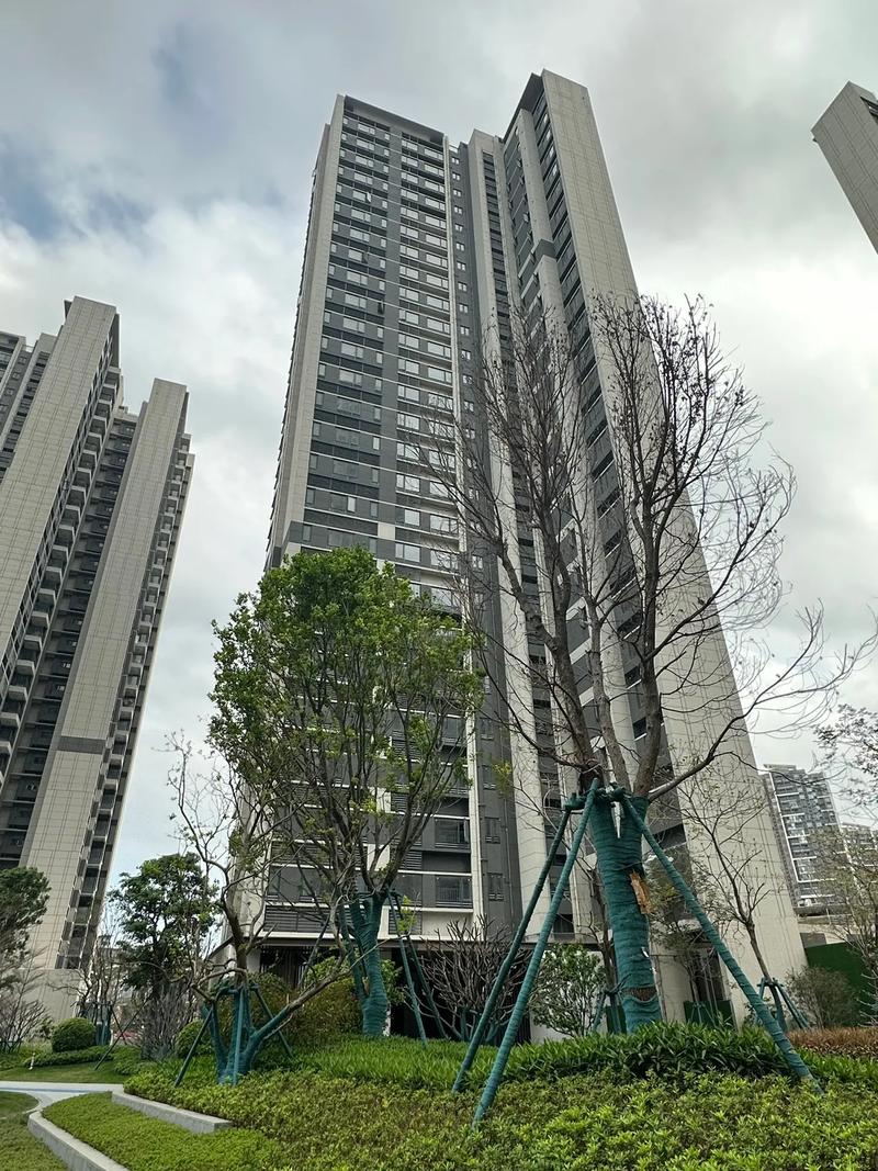 番禺新楼盘即将开盘