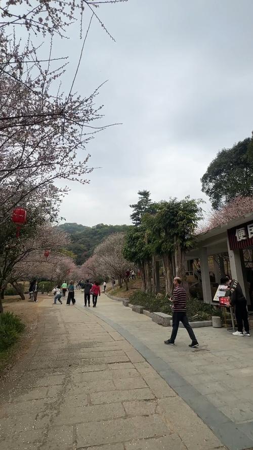 广州市白云区梅花园