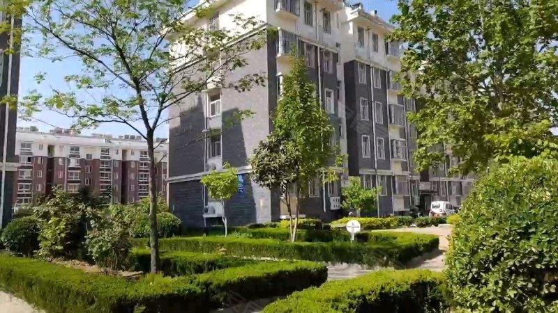 泰安灵芝花园二手房