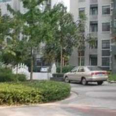 南湖七星雪香花园