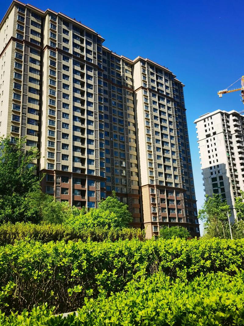 丽水富岭新楼盘