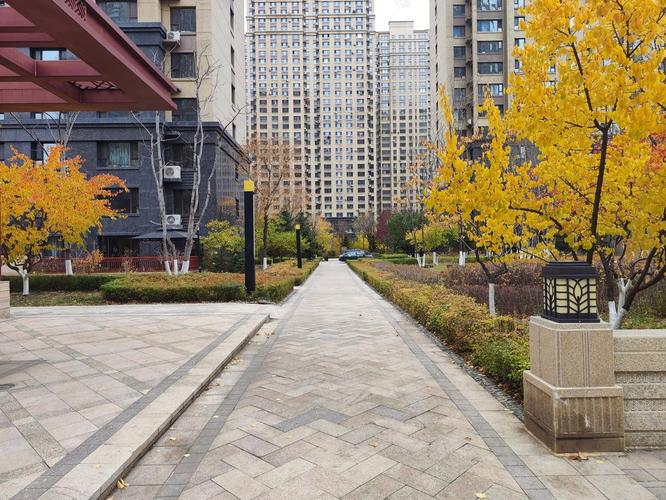 哈尔滨王岗新楼盘