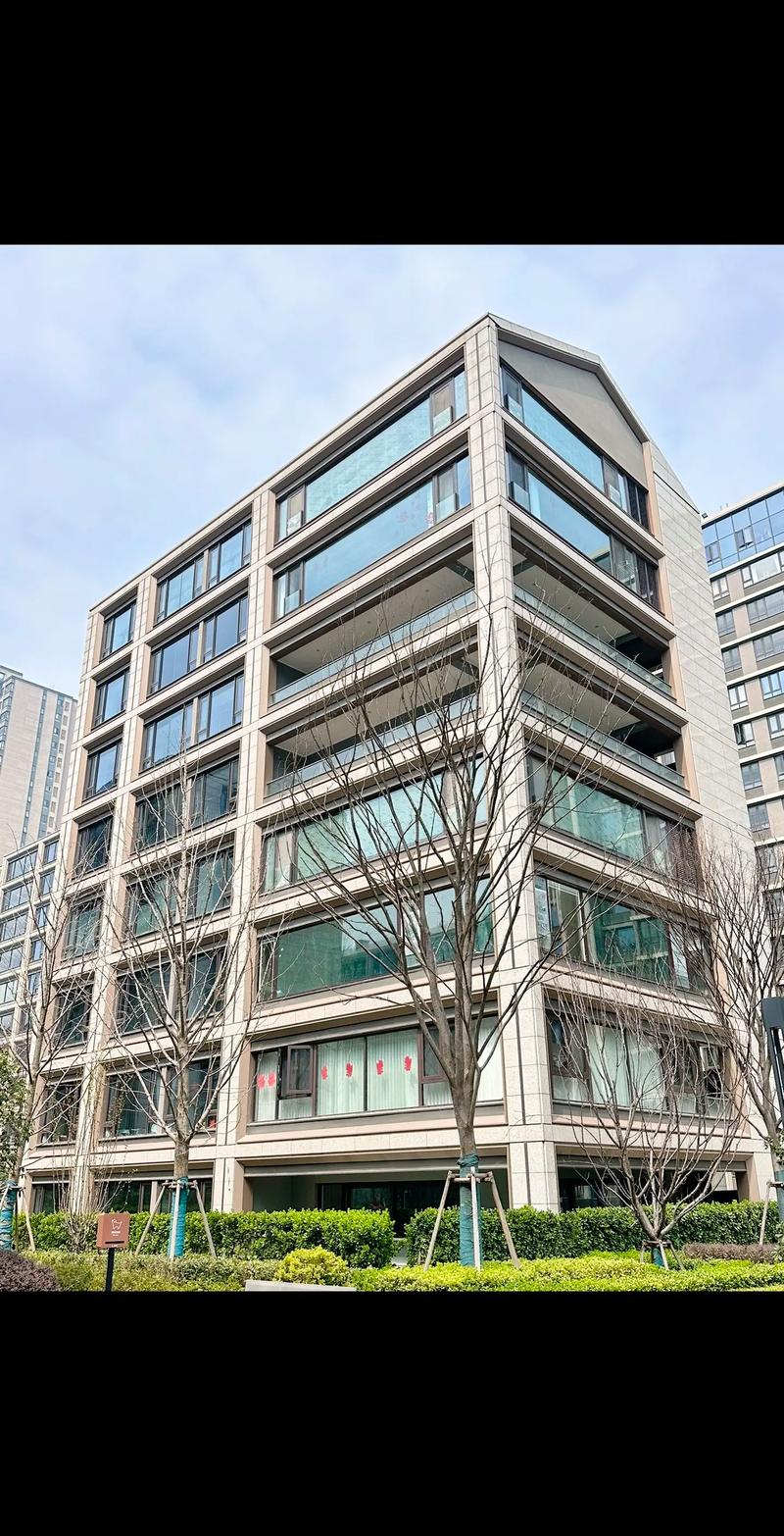 合肥大平层楼盘