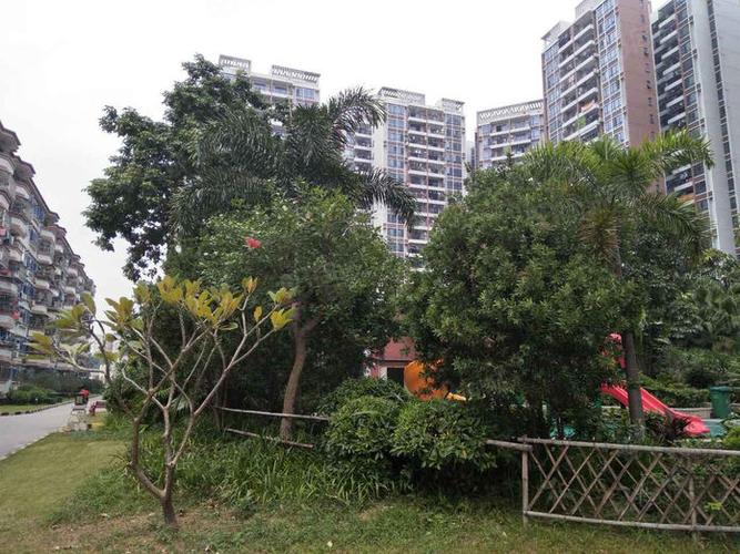 东莞塘厦金海怡景花园