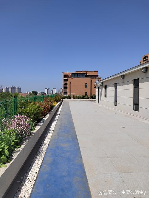 新泰市中心花园