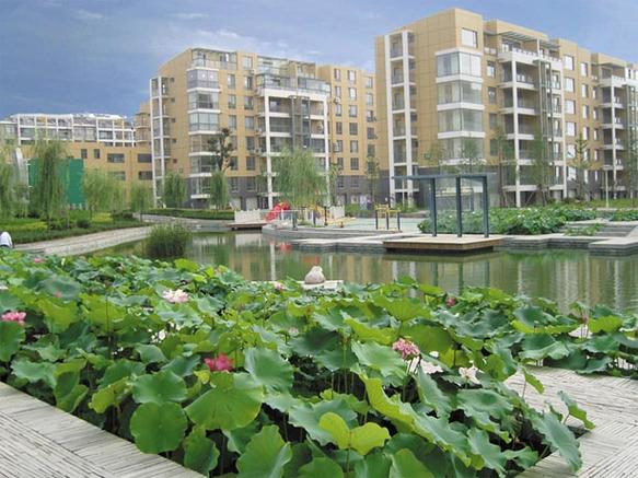 建大城市花园