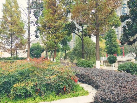 翡翠花园芳岛别墅